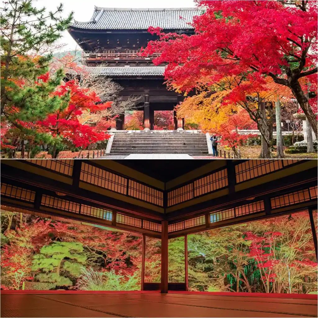 🌸 요센지 절(하기데라) 이미지 5